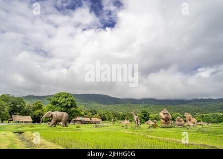 Chiang mai, Thailandia - 16 Luglio 2022 - Vista di popolari campi di riso con animali di paglia artificiale al parco Huay Tung Tao a Chiang mai, Thailandia Foto Stock