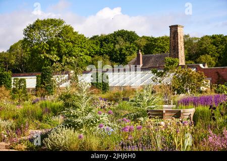 RHS Bridgewater a Worsley, Salford. Serre nel Paradise Garden Foto Stock