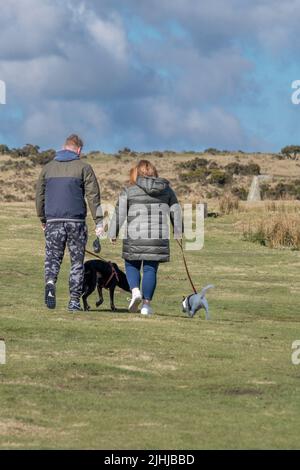 Camminatori di cani su Bodmin Moor in Cornovaglia. Foto Stock