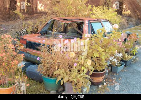 immagine a infrarossi del veicolo abbandonato nei cespugli. Foto Stock