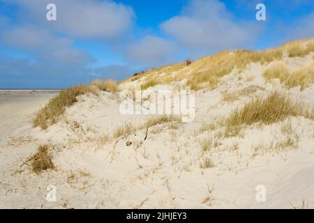 Paesaggio delle dune sulla costa settentrionale del mare Foto Stock