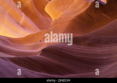 Pareti erose ad acqua nel Lower Antelope Canyon, Arizona, Stati Uniti. Foto Stock