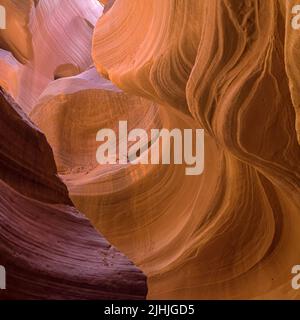 Forme di arenaria liscia nel Lower Antelope Canyon, Arizona, Stati Uniti. Foto Stock