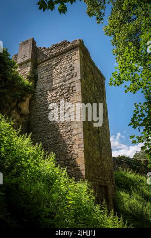 Pickering Castle nel North Yorkshire, Regno Unito Foto Stock