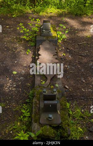 'Iron Road' di Keir Smith, Forest of Dean Sculpture Trail Foto Stock