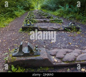 'Iron Road' di Keir Smith, Forest of Dean Sculpture Trail Foto Stock