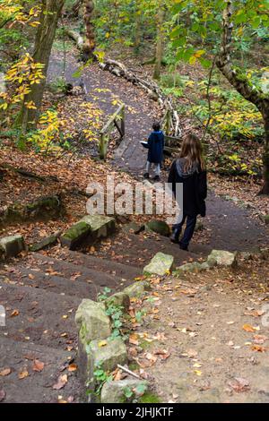 Sheffield, UK - 31 Ott 2019: Una ragazza e un ragazzo camminano lungo ripidi gradini nel bosco d'autunno a Eccleshall Woods Foto Stock