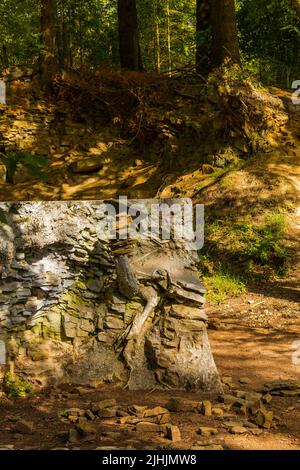 'ECHO' di Annie Cattrell; Forest of Dean Sculpture Trail Foto Stock