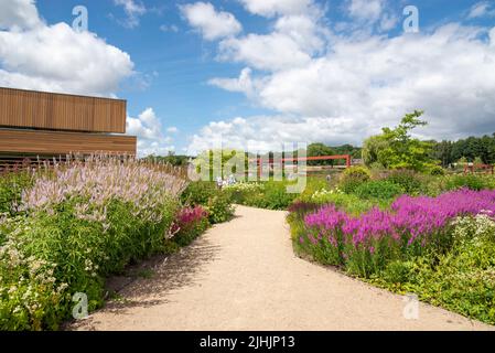 Il giardino di benvenuto Worsley a RHS Bridgewater, un nuovo giardino a Greater Manchester, Inghilterra. Luglio, 2022. Foto Stock