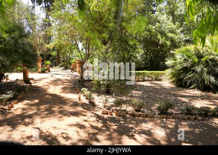 Cartagena, Murcia, Spagna - 18 luglio 2022: Bei giardini di Casa Beltri a Cartagena Foto Stock