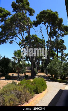 Cartagena, Murcia, Spagna - 18 luglio 2022: Bei giardini di Casa Beltri a Cartagena Foto Stock