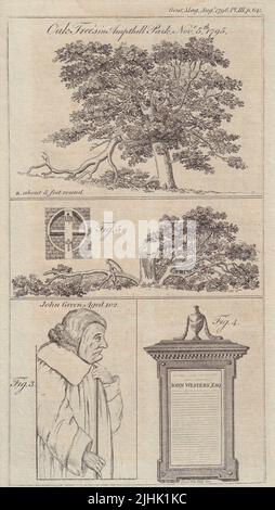 Vecchi alberi di quercia Ampthill Park, Letti. Ritratto di John Green of Wexford, Irlanda 1796 Foto Stock