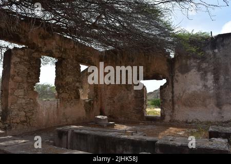 Le rovine storiche del Mulino d'Oro Balashi sono state rigenerate dalla natura ad Aruba. Foto Stock