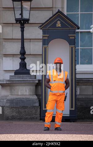 Un tipo diverso di guardia si trova nelle scatole della Guardia della Regina fuori da Buckingham Palace quando l'onda di calore raggiunge 37C , Londra, Regno Unito 19th luglio 2022 Foto Stock