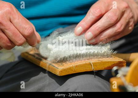 Una donna utilizza pettini tradizionali per cartoncino per preparare la lana di pecora per la filatura. Foto Stock