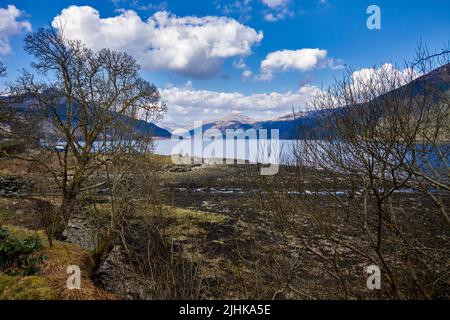 A bassa marea e spiaggia esposta, dal Castello di Carrick nord verso Lochgoilhead. Argyll e Bute. Scozia Foto Stock