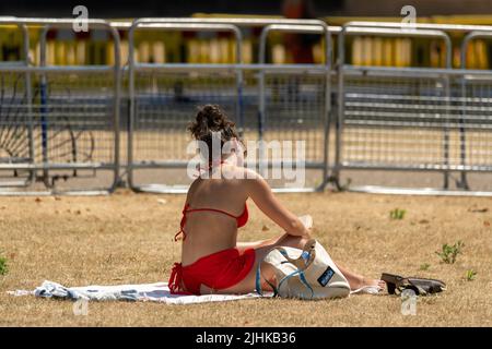 Londra, Regno Unito. 19th luglio 2022. Tempo britannico, nel giorno più caldo dell'anno la gente gode di St James Park London Credit: Ian Davidson/Alamy Live News Foto Stock