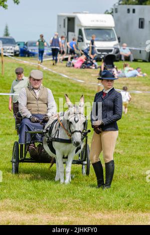 Un uomo guida una trappola di pony mentre vestito in abiti tradizionali. Foto Stock