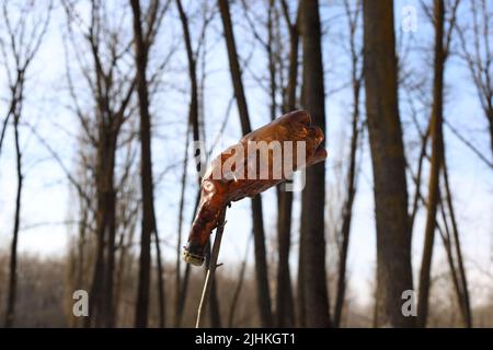 Bottiglia di plastica su un albero nella foresta Foto Stock