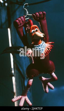 ROCKY, il pollaio, 2000 Foto Stock