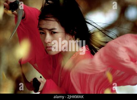ZIYI Zhang, eroe, 2002 Foto Stock