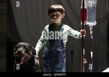 SEAMUS DAVEY-FITZPATRICK, cane, il presagio, 2006 Foto Stock