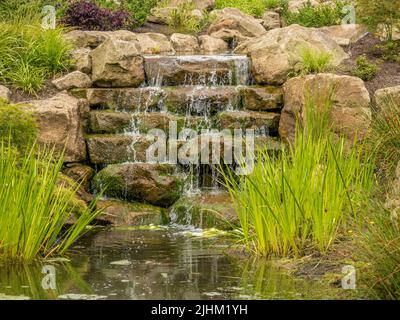 Strizzarsi nel giardino cinese Streamside a RHS Bridgewater. Salford. REGNO UNITO Foto Stock