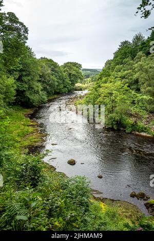 Yorkshire, 12th 2022 luglio: Il fiume Wharfe di Barden Tower, vicino a Skipton Foto Stock