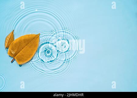 Foglie gialle sull'acqua blu con cerchi e increspature da gocce, schizzi Foto Stock