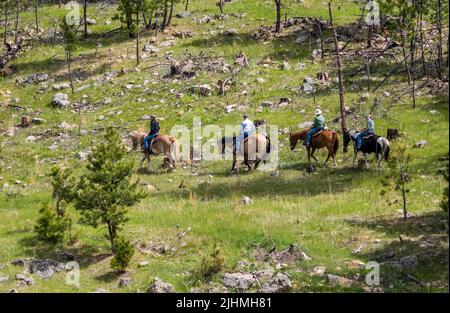 Passeggiate a cavallo nel Wind Cave National Park nel South Dakota USA Foto Stock