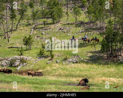 Passeggiate a cavallo nel Wind Cave National Park nel South Dakota USA Foto Stock