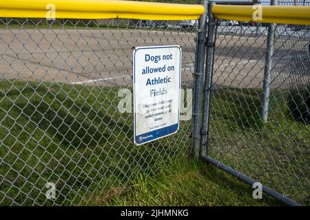 Woodinville, WA USA - circa 2022 maggio: Vista ravvicinata di un cartello che scoraggia i cani sul campo sportivo del parco sportivo di Woodinville. Foto Stock