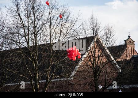 01022022,Amsterdam,Paesi Bassi. Dimostrazione delle misure antivideo. La protesta era proibita a causa di 19 misure, ma migliaia di persone si recavano al Museumplein. La piazza è stata designata un'area ad alto rischio, dove la polizia ha cercato tutti e ha chiesto di I.D quando la polizia ha concluso la protesta, i manifestanti hanno marciato nella città, ma sono stati fermati dalla polizia sommossa. Si è verificato un confronto e sono stati utilizzati poliziotti. Alcune persone sono state ferite e diverse sono state arrestate. Molti marciarono più in città e alcuni andarono al rally di FVD, un partito politico, che si tenne anche quel giorno Foto Stock