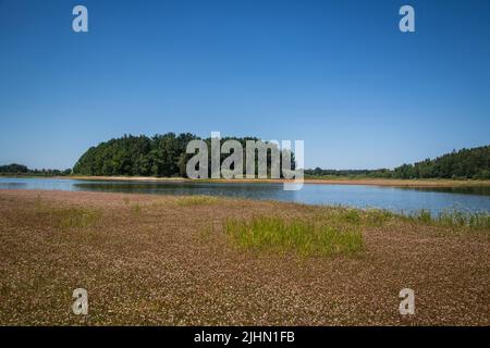 Žárský rybník, lago di Žár, Repubblica Ceca Foto Stock