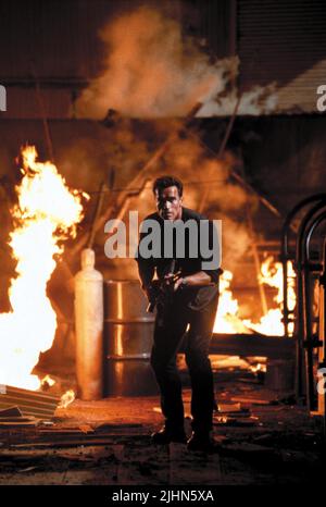 ARNOLD SCHWARZENEGGER, gomma, 1996 Foto Stock