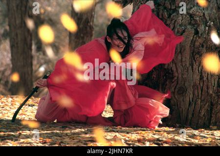 ZIYI Zhang, eroe, 2002 Foto Stock