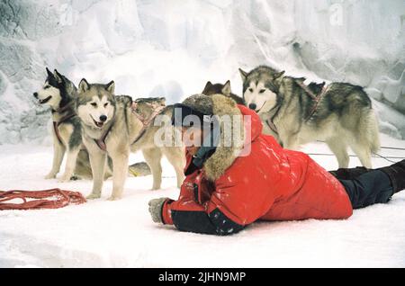 PAUL WALKER, cani, otto al di sotto di, 2006 Foto Stock