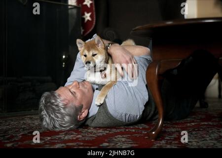 RICHARD GERE, HACHIKO: un cane della storia , 2009 Foto Stock