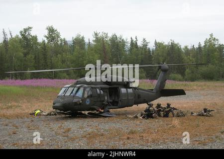 Agenti speciali del team di Anchorage FBI armi speciali e tattiche (SWAT) detengono la sicurezza dopo l'uscita da una Guardia Nazionale dell'esercito dell'Alaska UH-60L Black Hawk alla base congiunta Elmendorf-Richardson, Alaska, 13 luglio 2022. Le aree di formazione estese e austere di JBER hanno fornito un ambiente ideale per i team SWAT delle forze dell'ordine locali, affinando le loro competenze nelle operazioni rurali, nella pianificazione delle attività, nella ricognizione, nelle procedure di sicurezza degli elicotteri, nella navigazione terrestre, movimento e pattugliamento del team. (STATI UNITI Air Force foto di Alejandro Peña) Foto Stock