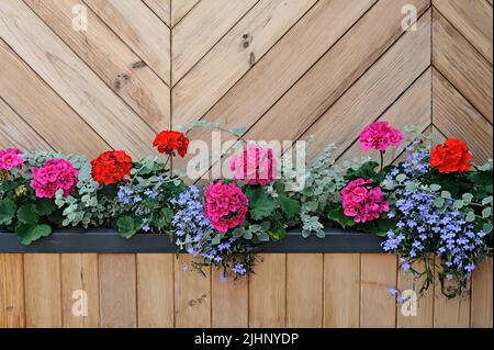 Fiori che decorano una parete di tavole di legno Foto Stock