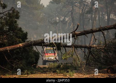 La teste-de-Buch, Francia sud-occidentale, 19 luglio 2022. La foto mostra i vigili del fuoco che lavorano per spostare due alberi caduti sul percorso 214 dove il fuoco è iniziato dopo un furgone bruciato in la teste-de-Buch, Francia sud-occidentale il 19 luglio 2022. Scene di devastazione emergono da una Francia sudoccidentale devastata dagli incendi che hanno devastato quasi 80 miglia quadrate di foreste, costringendo 37.000 persone ad evacuare. Le fiamme sono state soffocate da un'onda di calore che alimentava anche le fiamme in Grecia, Portogallo e Spagna. Foto di Thibaud Moritz/ABACAPRESS.COM Foto Stock