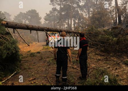 La teste-de-Buch, Francia sud-occidentale, 19 luglio 2022. La foto mostra i vigili del fuoco che lavorano per spostare due alberi caduti sul percorso 214 dove il fuoco è iniziato dopo un furgone bruciato in la teste-de-Buch, Francia sud-occidentale il 19 luglio 2022. Scene di devastazione emergono da una Francia sudoccidentale devastata dagli incendi che hanno devastato quasi 80 miglia quadrate di foreste, costringendo 37.000 persone ad evacuare. Le fiamme sono state soffocate da un'onda di calore che alimentava anche le fiamme in Grecia, Portogallo e Spagna. Foto di Thibaud Moritz/ABACAPRESS.COM Foto Stock