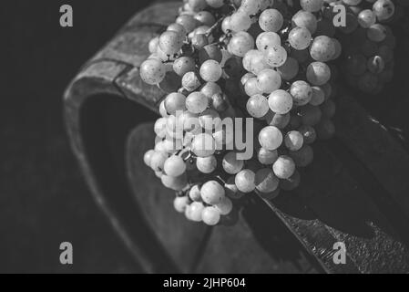 L'uva in vino in legno barile nel vigneto, Ungheria Foto Stock