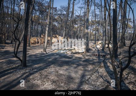 Les Flots Bleus campsitesouth, Francia, 19 luglio 2022, Yelloh! Village Panorama du Pyla campeggio il 19 luglio 2022, sud-ovest della Francia. Due incendi boschivi bruciano nel dipartimento della Gironda nel sud-ovest della Francia per una settimana, e un totale di 37.000 persone sono state evacuate dalla zona. Uno degli incendi ha raggiunto la costa di Dune du Pilat, la duna di sabbia più alta d'Europa, che è anche un luogo popolare per il campeggio. Almeno cinque campeggi vicini alla duna sono “90% distrutti” secondo il prefetto locale. Foto di Clement Viala/infobassin.com/ABACAPRESS.COM Foto Stock