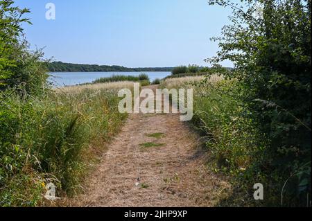 Arlington Reservoir vicino a Lewes nel Sussex orientale , Inghilterra Regno Unito Foto Stock