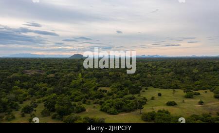 Vista aerea del Tramonto nella foresta tropicale dello Sri Lanka. Foto Stock