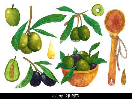 Set acquerello olive. Frutta matura verde e nera su un ramo con foglie, in un piatto di legno con cucchiaio. Bacche intere, metà, affettare. Olio d'oliva naturale, Foto Stock