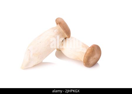 Re di funghi orecchioni (Eringi) su bianco backgroud. Foto Stock