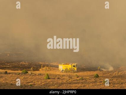 Spagna - Ávila - Cebreros - ondata di incendi in Spagna - a causa delle alte temperature e di una storica ondata di caldo, molti incendi boschivi colpiscono la penisola iberica. Le brigate e i vigili del fuoco stanno cercando eroicamente di affrontare le fiamme che stanno diventando sempre più intrattabili e difficili da estinguere. Foto Stock