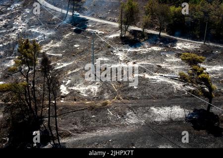 Maddaloni, Italia. 20th luglio 2022. Vegetazione distrutta e alberi bruciati dal vasto incendio che colpì il Monte di San Michele nella città di Maddaloni. Gli incendi in Campania, causati dalla siccità e dall'aumento delle temperature, aumentano sempre di più. Maddaloni, Italia, 20 luglio 2022. (Foto di Vincenzo Izzo/Sipa USA) Credit: Sipa USA/Alamy Live News Foto Stock